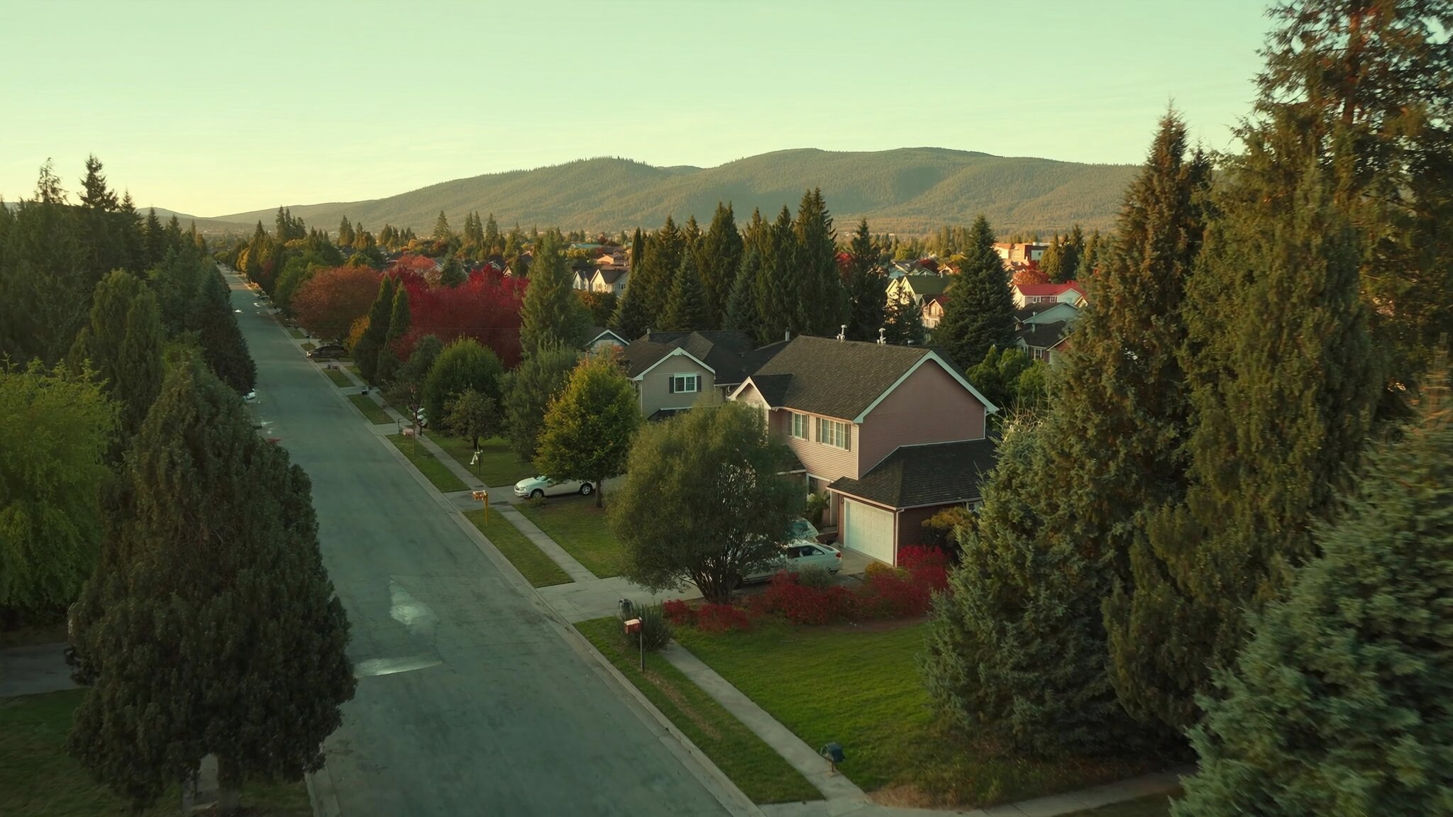 Aerial view of a South King County residential neighborhood with mature evergreen trees and well-maintained homes, Washington state