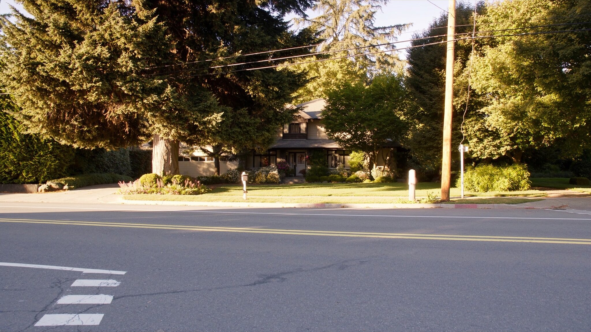 Young couple on a residential street in Federal Way WA, craftsman homes and Pacific Northwest evergreens in background