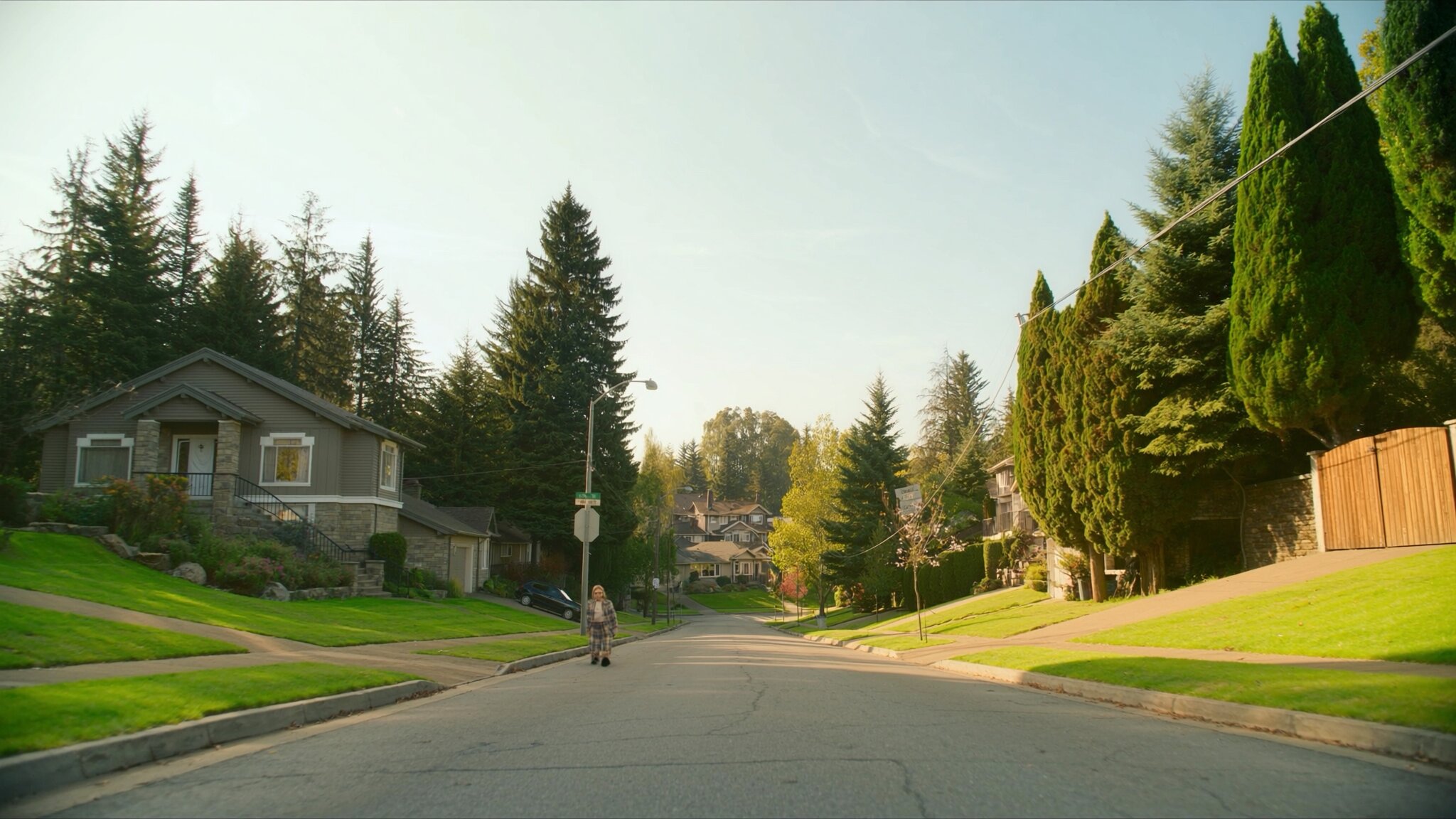 Tree-lined suburban street with craftsman homes and townhomes in King County Washington