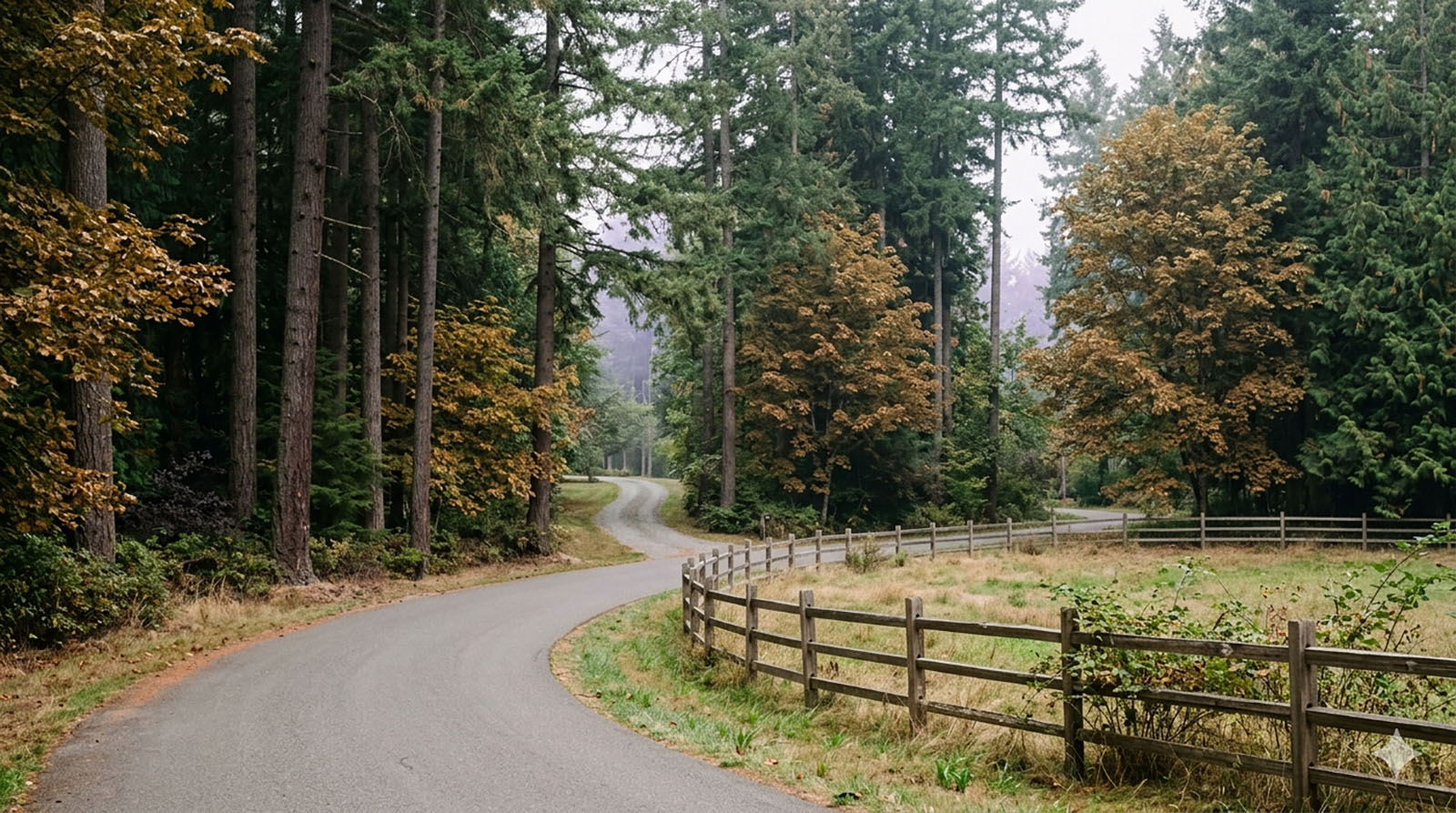 A country lane through the wooded Mirrormont neighborhood near Issaquah, with split-rail fencing along the right side.