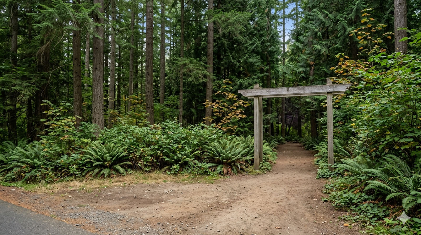 A Cougar Mountain trailhead at the edge of the Newport Way and Cougar Mountain area of Issaquah.