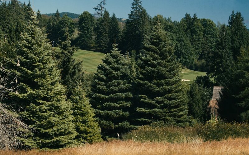 Sahalee Country Club community Sammamish WA with golf course views and luxury single-family homes