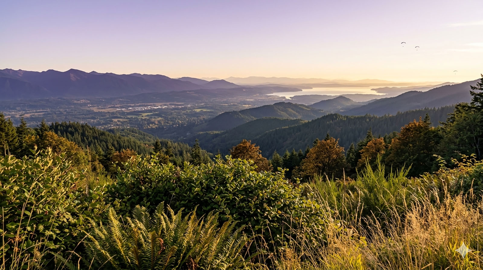 A view from the Tiger Mountain Foothills in Issaquah, looking northwest toward Lake Sammamish.