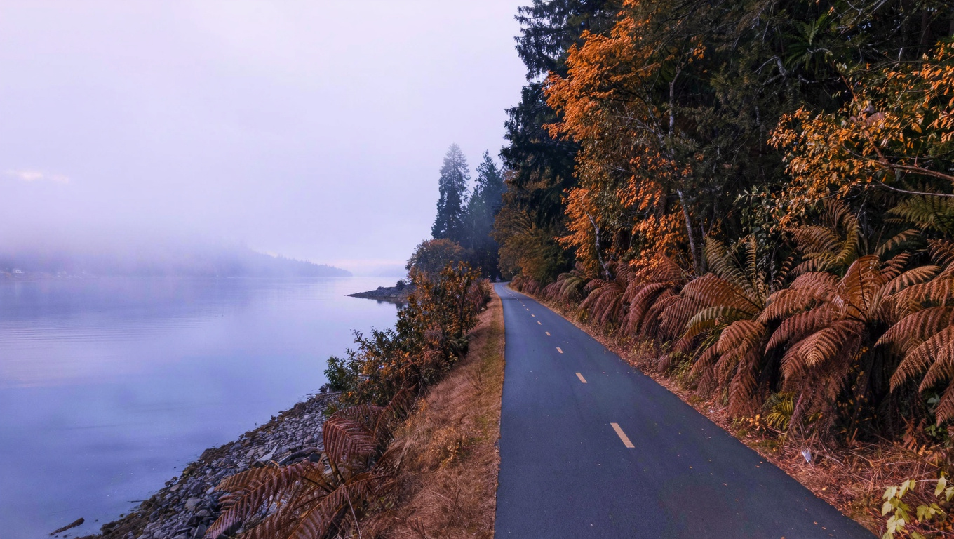 Paved East Lake Sammamish Trail running along the eastern shoreline of Lake Sammamish in Washington with calm lake water to the left and dense Pacific Northwest forest to the right