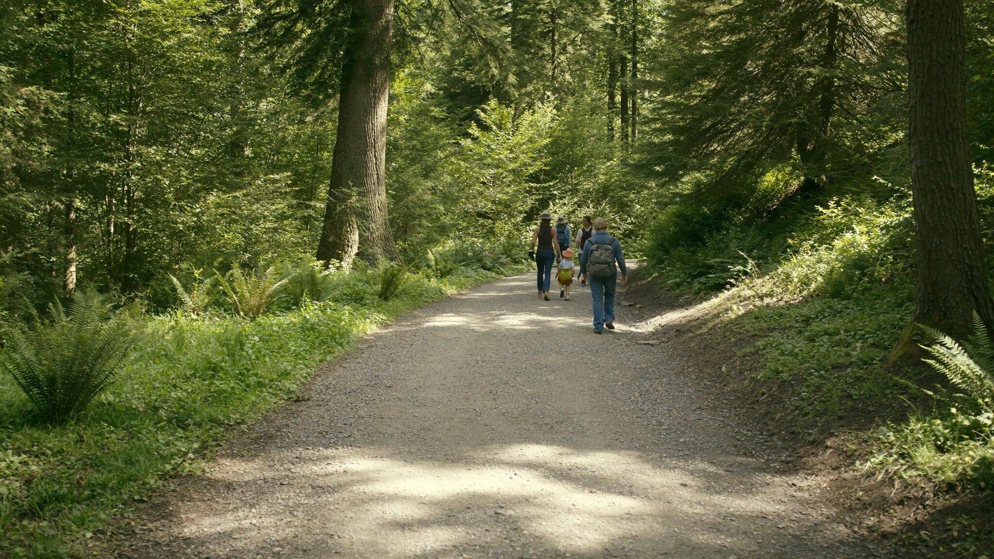 Family with children hiking on a forested trail in Issaquah Washington, surrounded by tall Pacific Northwest evergreen trees