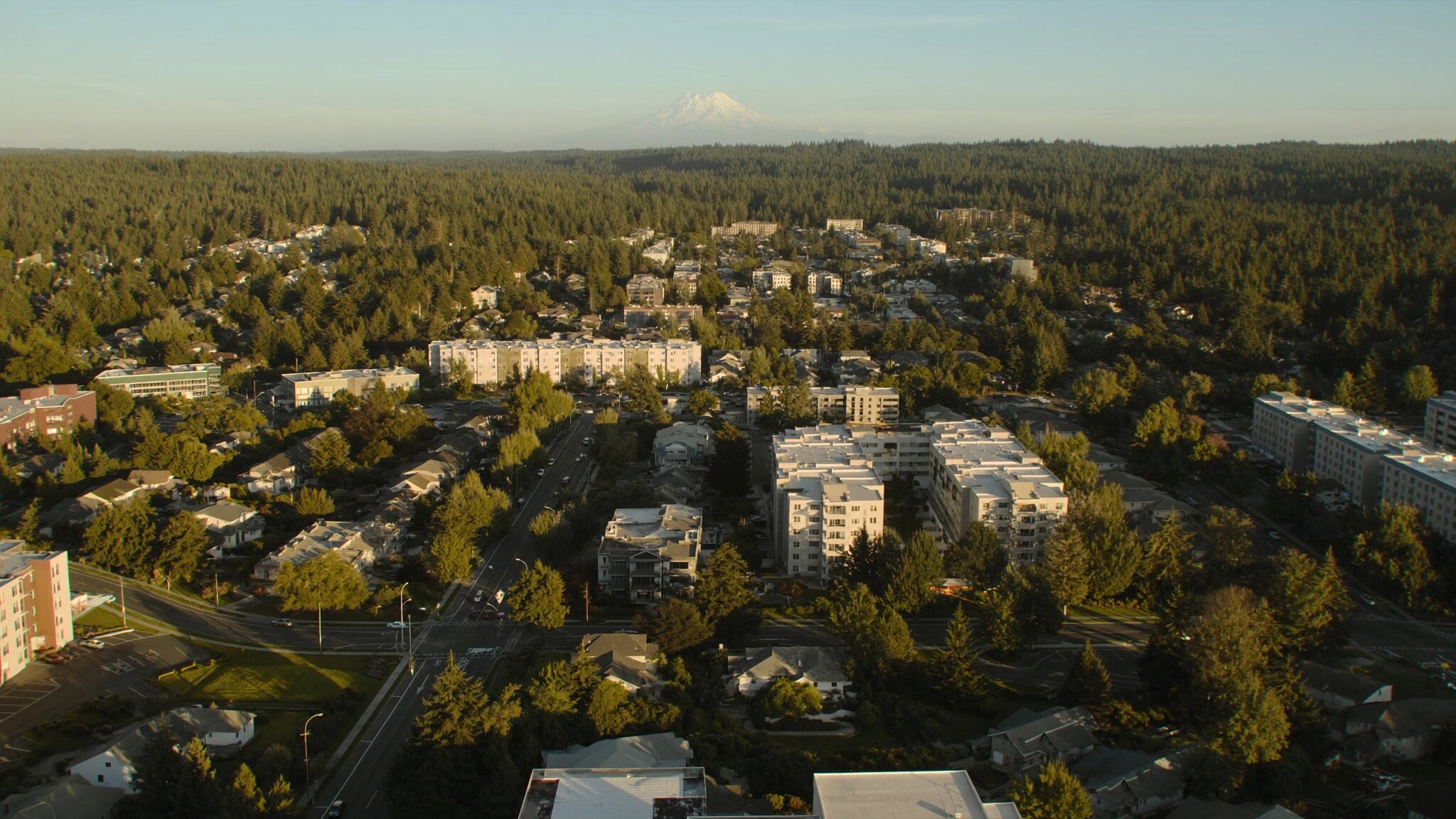Aerial view of King County Washington residential neighborhoods