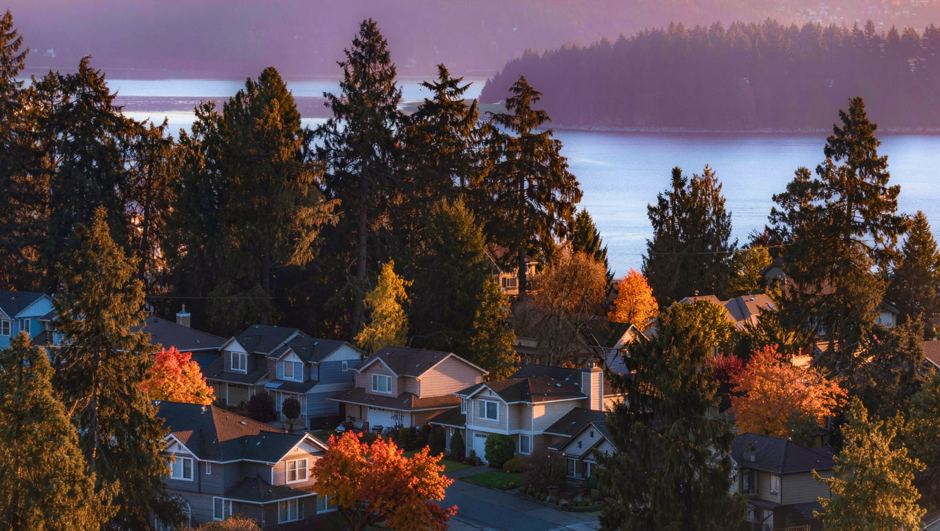 Elevated golden-hour view of Pine Lake neighborhood homes in Sammamish, Washington surrounded by mature Douglas fir and western red cedar with Pine Lake shimmering through the tree canopy.