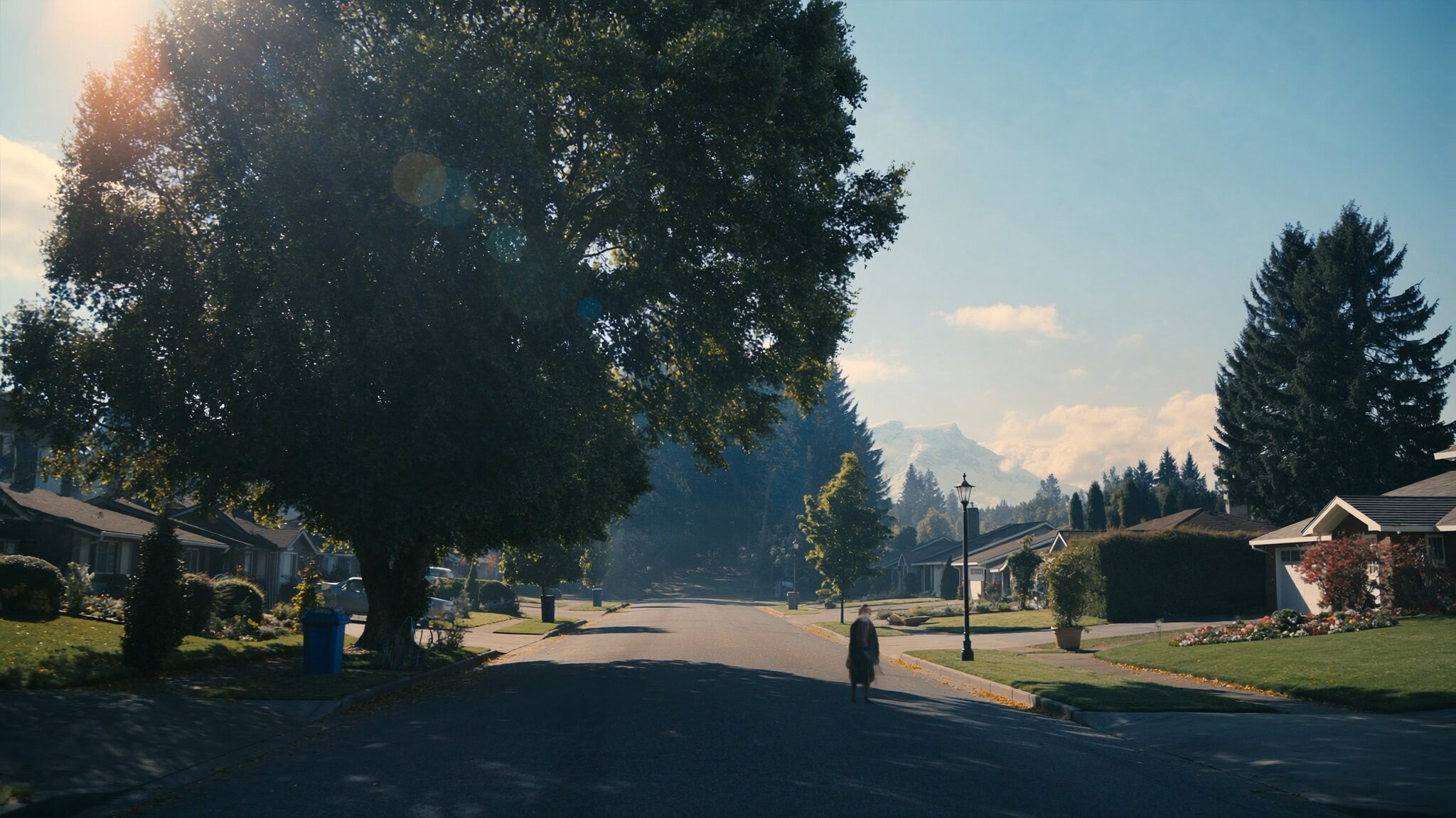 Residential neighborhood in South King County Washington with evergreen trees and mountain views — relocation guide 2026