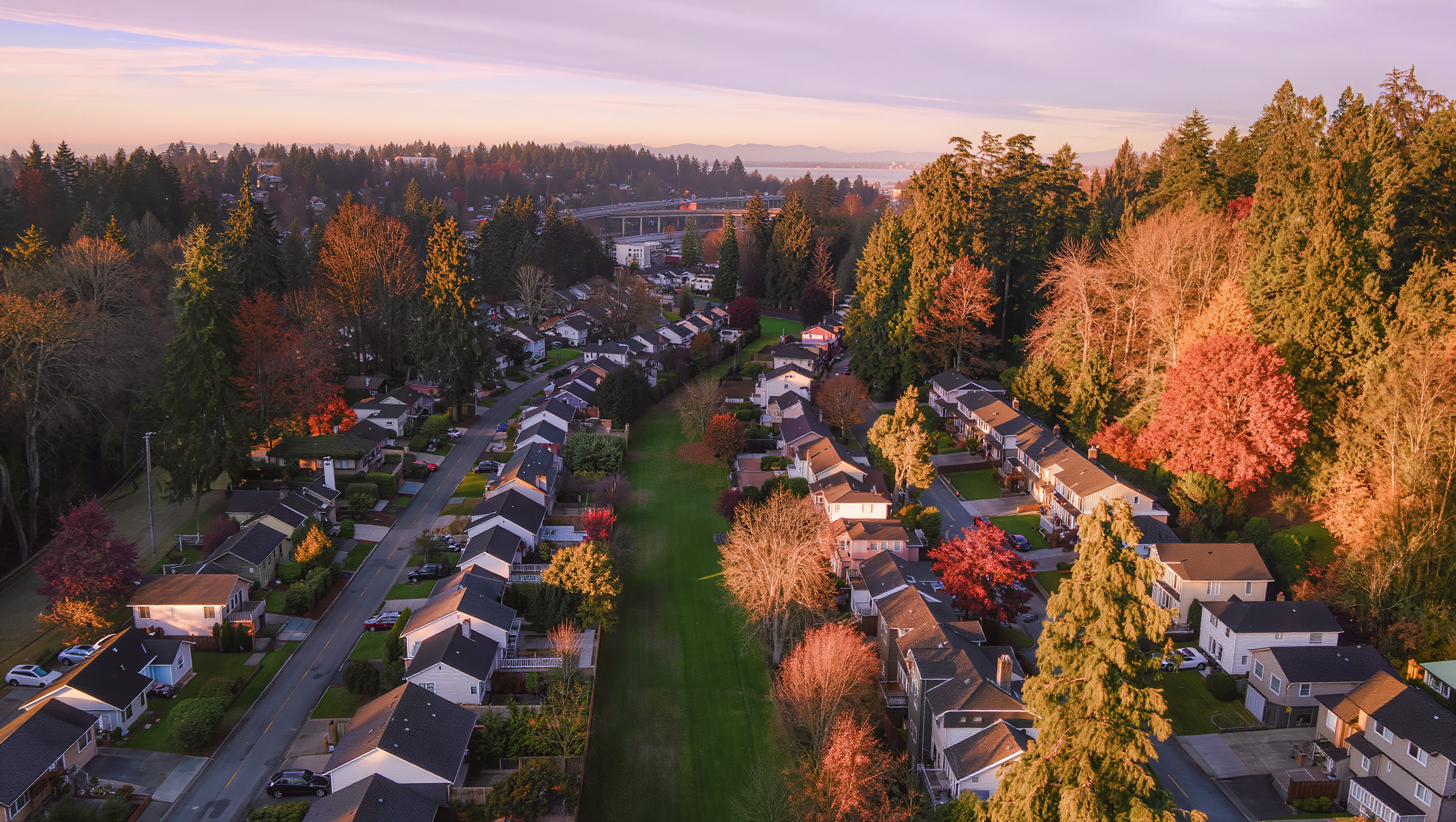 Aerial view of Renton WA residential neighborhoods with mixed tree canopy and rooftops, King County Washington