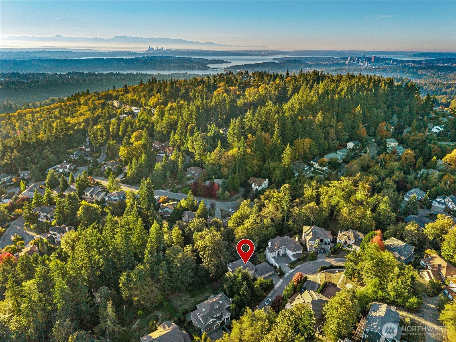 Aerial view of the neighborhood